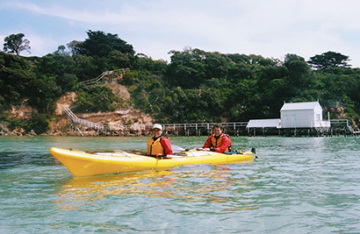 Iconic Australian Wildlife and Nature Tour - Day 6