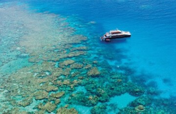 Cairns: Waterfall, Reef & Rainforest Trail - Day 2