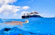 Outer Barrier Reef Cruise and 35 Minute Guided Snorkel with Dreamtime Dive - Lunch Included