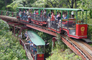 Driving Creek Railway & Potteries - EyeFull Tower Tour