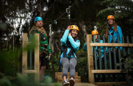 Coromandel Zipline Tour