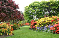 Dunedin Botanic Gardens  -  Suggestion