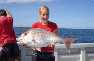 Snapper Half Day Fishing Trip with Fish Bay of Islands