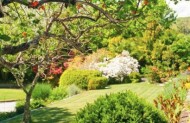 Eastwoodhill - The National Arboretum of New Zealand