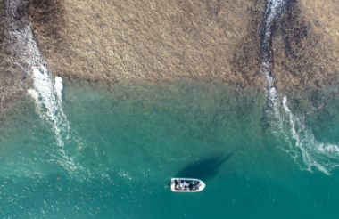 Discover everything New Zealand has to offer with these great vacation packages