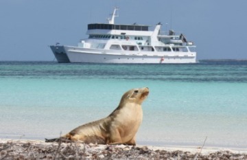 Eco Abrolhos Cruises: The Abrolhos Islands - Day 1