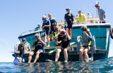 Explore New Zealand with these great holiday ideas