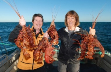 Discover everything New Zealand has to offer with these great vacation packages