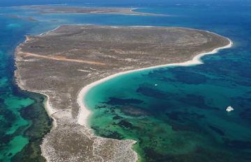 Eco Abrolhos Cruises: The Abrolhos Islands - Day 6