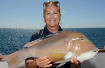Eco Abrolhos Cruises: Kimberley Cruise - Day 5