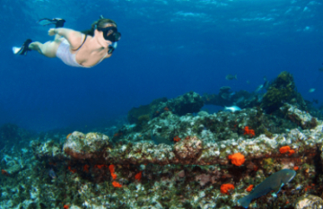 Eco Abrolhos Cruises: The Abrolhos Islands - Day 2