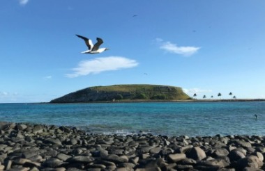 NZ self drive itineraries and package holidays