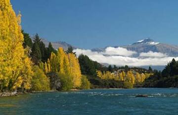 Natural New Zealand - Day 18