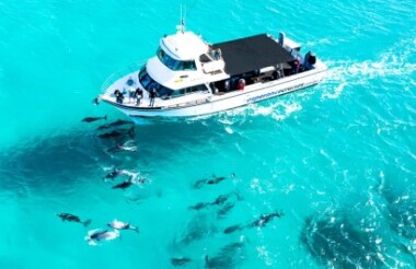 Scenic Wildlife Cruise with Esperance Island Cruises