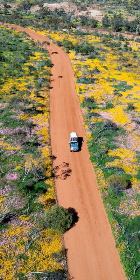 Car driving down the outback road - credit to tourism australia
