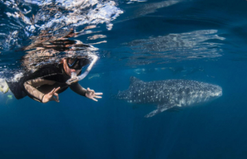 The Great Australian Rail and Reef Tour - Day 8
