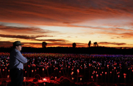 A Night at Field of Light with Voyages Indigenous Tourism