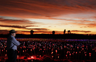 A Night at Field of Light with Voyages Indigenous Tourism