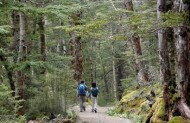 Kepler Heli-Hike with Fiordland Helicopters