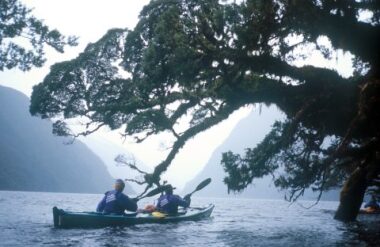 Milford Sound Sea Kayaking
