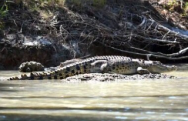 Flood Country with Ethical Adventures - Lunch Included