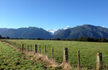 Fox Glacier and Lake Matheson Tour