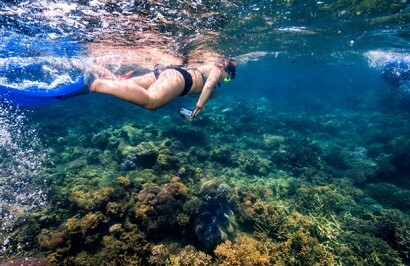 Cairns City Short Break - Day 3