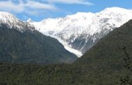 Walking tracks in and around Franz Josef