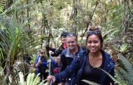 Kayak and Walk with Franz Josef Wilderness Tours