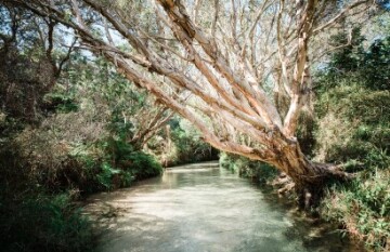 VIA Travel: Brisbane to Cairns Boutique Tour - Day 1