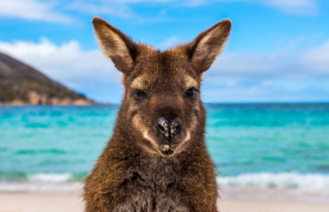 Freycinet Experience Walk - Day 3