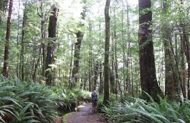 Kepler Track Guided Walk