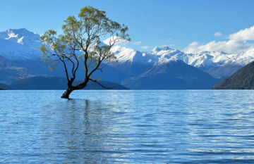 South Island Wilderness Encounters Tour - Day 6