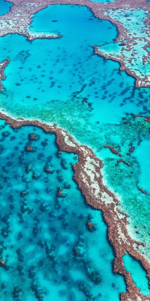 Great Barrier Reef from above - credit to tourism australia