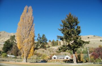 Great Journeys of New Zealand - Signature Inspirational Alps Tour (Southbound) 2025/2026 - Day 7