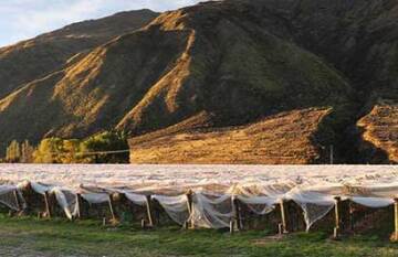 14 Day Classic New Zealand - Day 10