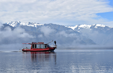 Scenic Cruise with Franz Josef Wilderness Tours