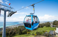 Return Gondola Ride with Arthurs Seat Eagle Return Gondola Ride with Arthurs Seat Eagle