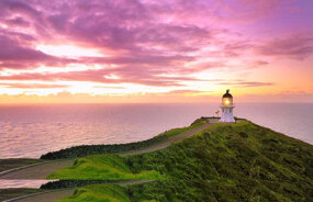 Explore New Zealand with these great holiday ideas