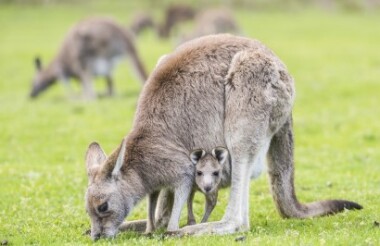 Grampians National Park