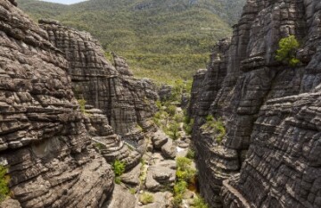 Great Ocean Road and Grampians Escape - Day 5