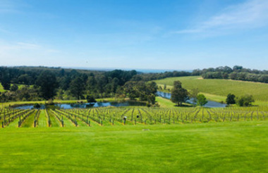 Perfect Balance Winery Experience in Varra Valley