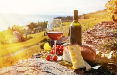 Hunter Valley Food and Wine Lovers Tour with Gray Line