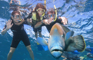 Great Barrier Reef Adventure with Green Island Resort - Lunch Included