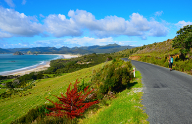 Great Barrier Island