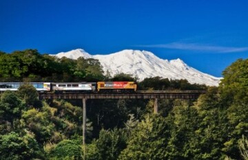 Great Journeys of New Zealand - Classic Cities & Coastal Highlights Tour (Northbound) - Day 8