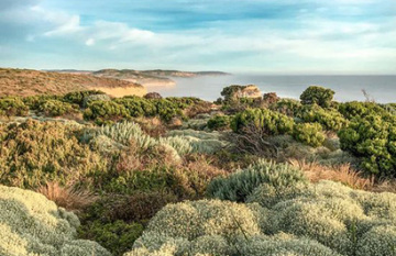 The Great Southern Ocean Vacation - Day 8