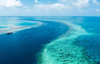 Horn Island to Cairns Domestic Flight