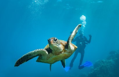 Coral Coast Tour - Day 10