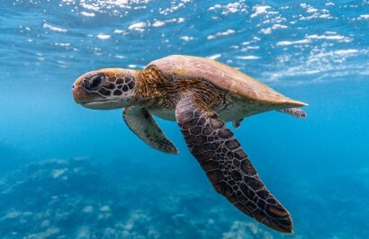 Perth to Broome Coastal Bliss - Day 8